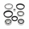 All Balls Differential Bearing & Seal Kit For Arctic Cat