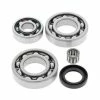 All Balls Differential Bearing & Seal For Kawasaki