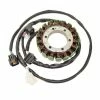 Rick's Motorsport Electrics Stator For Arctic Cat