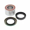 All Balls Wheel Bearing Kit