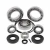 All Balls Rear Differential Bearing & Seal Kit