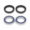 All Balls Wheel Bearing Kit