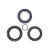 All Balls Front Wheel Bearing Kit For Honda