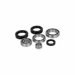 All Balls Rear Differential Bearing & Seal Kit For Can-Am