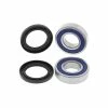 All Balls Wheel Bearing Kit
