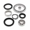All Balls Differential Bearing & Seal Kit