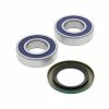 All Balls Wheel Bearing Kit