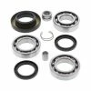 All Balls Differential Bearing & Seal Kit For Honda