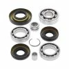 All Balls Differential Bearing & Seal Kit For Honda