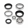 All Balls Differential Bearing & Seal Kit For Honda