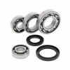 All Balls Differential Bearing & Seal Kit For Kawasaki