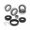 All Balls Front Differential Bearing & Seal Kit