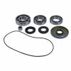 All Balls Differential Bearing Kit, Front