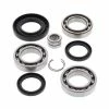 All Balls Differential Bearing & Seal Kit For Honda