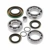 All Balls Differential Bearing & Seal Kit - Rear