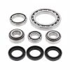 All Balls Differential Bearing & Seal Kit