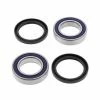 All Balls Wheel Bearing Kit