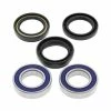 All Balls Wheel Bearing Kit