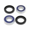 All Balls Wheel Bearing Kit