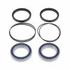 All Balls Wheel Bearing Kit