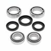 All Balls Differential Bearing & Seal Kit For Kawasaki
