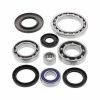 All Balls Differential Bearing & Seal Kit For Arctic Cat