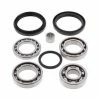 All Balls Differential Bearing & Seal Kit For Arctic Cat