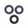 All Balls Wheel Bearing Kit