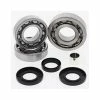 All Balls Differential Bearing & Seal Kit For Polaris