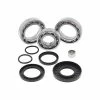 All Balls Differential Bearing Kit, Rear