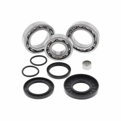 All Balls Differential Bearing Kit, Rear
